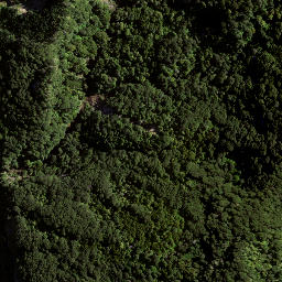 Satellite imagery of 173 WHAKAARI, NZ