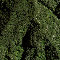 Satellite imagery of 173 WHAKAARI, NZ