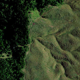 Satellite imagery of 7381, NZ