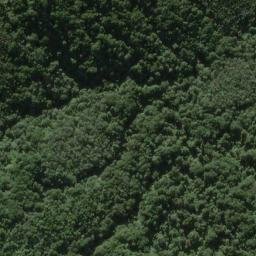 Satellite imagery of PAMOTUMOTU NO 2, NZ