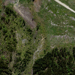Satellite imagery of 8833, NZ