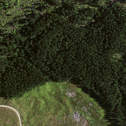 Satellite imagery of 8833, NZ