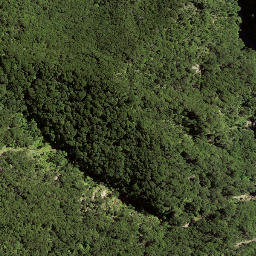 Satellite imagery of 8934, NZ