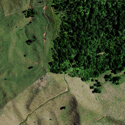 Satellite imagery of 7381, NZ