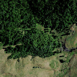 Satellite imagery of 7381, NZ