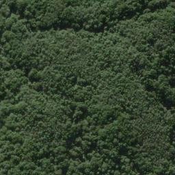 Satellite imagery of PAMOTUMOTU NO 2, NZ