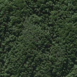 Satellite imagery of PAMOTUMOTU NO 2, NZ