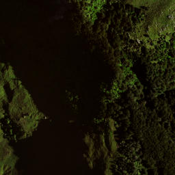 Satellite imagery of 8831, NZ