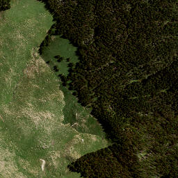 Satellite imagery of 8831, NZ