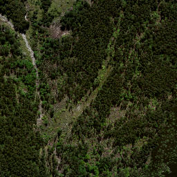 Satellite imagery of 8833, NZ
