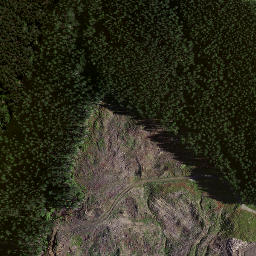 Satellite imagery of 8833, NZ