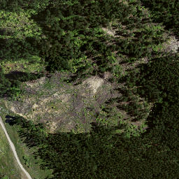 Satellite imagery of 8834, NZ