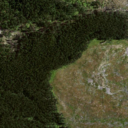 Satellite imagery of 8834, NZ