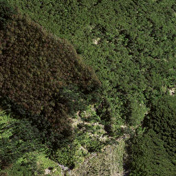 Satellite imagery of 8934, NZ