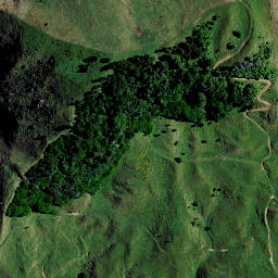 Satellite imagery of 7381, NZ