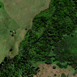 Satellite imagery of Horotea Cliffs, NZ