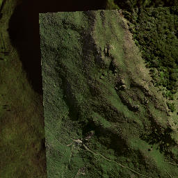 Satellite imagery of 8831, NZ
