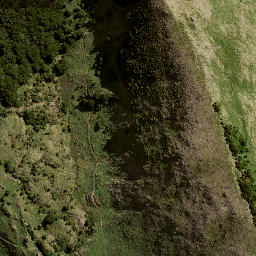 Satellite imagery of 8831, NZ