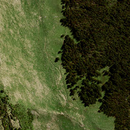 Satellite imagery of 8831, NZ