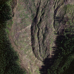 Satellite imagery of 8835, NZ