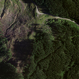 Satellite imagery of 8834, NZ
