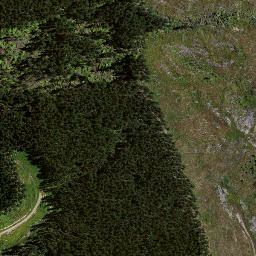 Satellite imagery of 8834, NZ