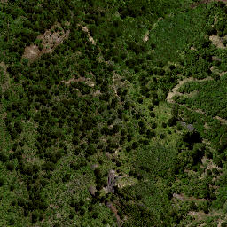 Satellite imagery of 8913, NZ