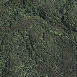 Satellite imagery of Tarawera Eruption Memorial, NZ