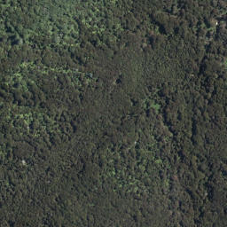 Satellite imagery of Tarawera Eruption Memorial, NZ