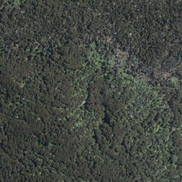 Satellite imagery of Tarawera Eruption Memorial, NZ