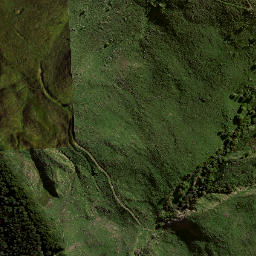 Satellite imagery of 8831, NZ
