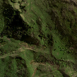 Satellite imagery of 8831, NZ