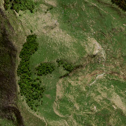 Satellite imagery of 8831, NZ