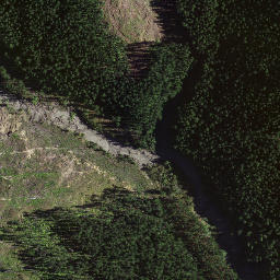 Satellite imagery of 8835, NZ