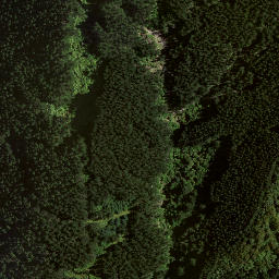 Satellite imagery of 8834, NZ