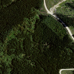 Satellite imagery of 8834, NZ