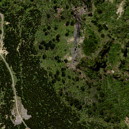 Satellite imagery of 8913, NZ