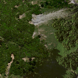 Satellite imagery of 8913, NZ