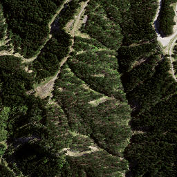 Satellite imagery of 8936, NZ