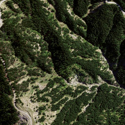 Satellite imagery of 8936, NZ