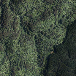 Satellite imagery of Steaming Cliffs, NZ