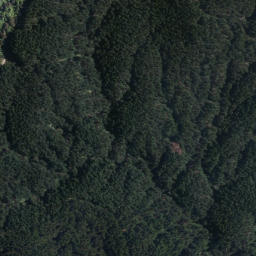 Satellite imagery of Steaming Cliffs, NZ