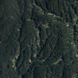 Satellite imagery of Steaming Cliffs, NZ