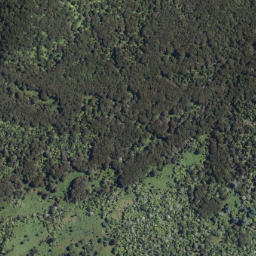 Satellite imagery of Tarawera Eruption Memorial, NZ