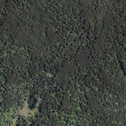 Satellite imagery of Tarawera Eruption Memorial, NZ