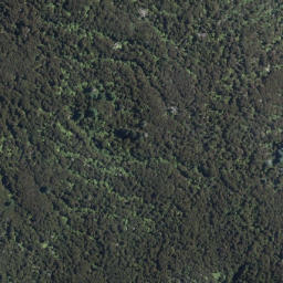 Satellite imagery of Tarawera Eruption Memorial, NZ