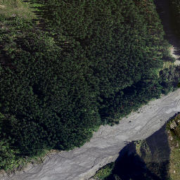 Satellite imagery of 8835, NZ