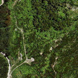 Satellite imagery of TE RIMU NO 2, NZ