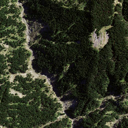 Satellite imagery of 8935, NZ