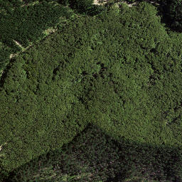 Satellite imagery of 8936, NZ